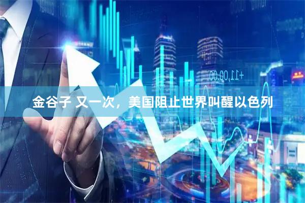 金谷子 又一次，美国阻止世界叫醒以色列