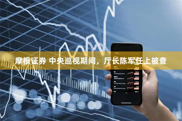 摩根证券 中央巡视期间，厅长陈军任上被查