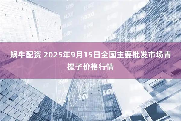 蜗牛配资 2025年9月15日全国主要批发市场青提子价格行情