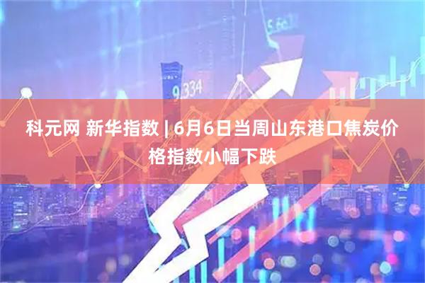 科元网 新华指数 | 6月6日当周山东港口焦炭价格指数小幅下跌