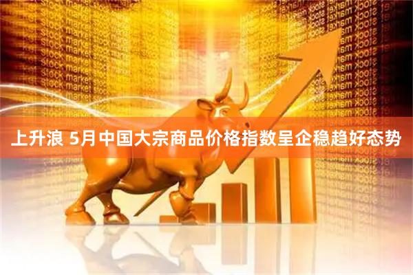 上升浪 5月中国大宗商品价格指数呈企稳趋好态势