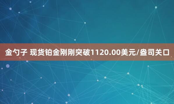 金勺子 现货铂金刚刚突破1120.00美元/盎司关口