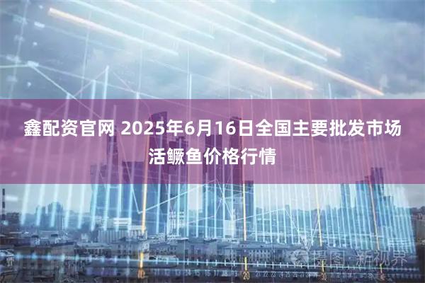 鑫配资官网 2025年6月16日全国主要批发市场活鳜鱼价格行情