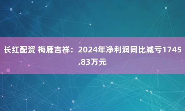 长红配资 梅雁吉祥：2024年净利润同比减亏1745.83万元