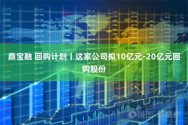 鼎宝融 回购计划丨这家公司拟10亿元-20亿元回购股份